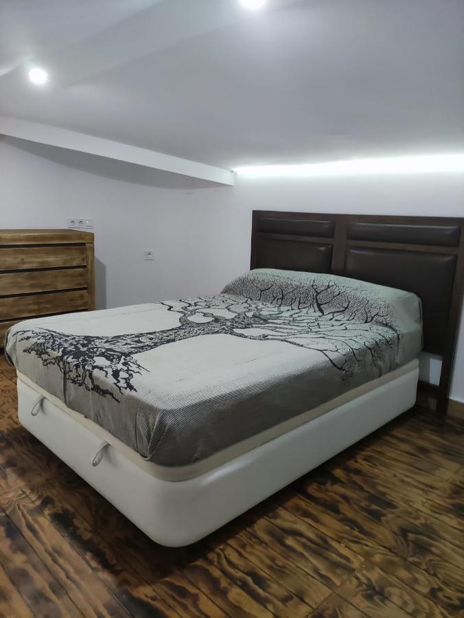 Loft De Lujo Calle De Las Marines 德尼亚 外观 照片